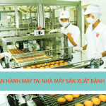 Tuyển gấp lao động vận hành máy trong nhà máy sản xuất bánh mỳ.