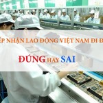 Bác bỏ thông tin Đài Loan tạm dừng tiếp nhận lao động Việt Nam
