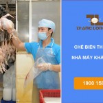 Đơn hàng Đài Loan sản xuất thịt gà nhà máy Khải Hinh – Đài Trung