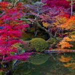[Chiêm ngưỡng] Mùa thu Nhật Bản đẹp độc đáo và ấn tượng đến sao lòng